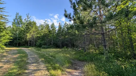 Lot B Highway 24 Orr MN 55771