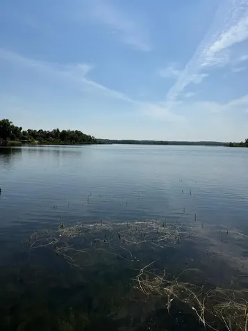 33254 Turtle View Trail Underwood MN 56586