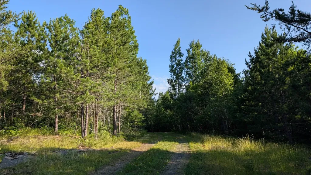 Lot A Highway 24 Orr MN 55771