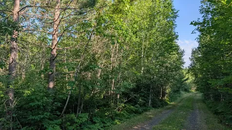Lot A Highway 24 Orr MN 55771