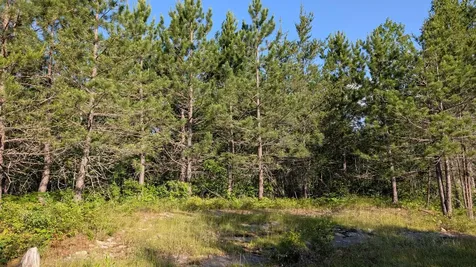 Lot A Highway 24 Orr MN 55771