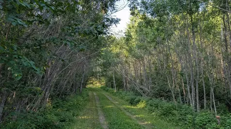 Lot A Highway 24 Orr MN 55771