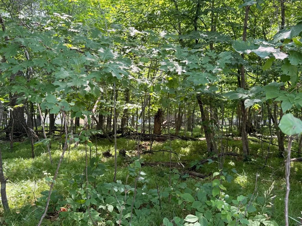 Tbd Breezy Point Boulevard Breezy Point MN 56472