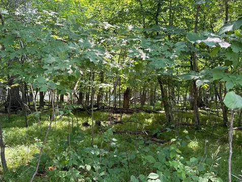 Tbd Breezy Point Boulevard Breezy Point MN 56472