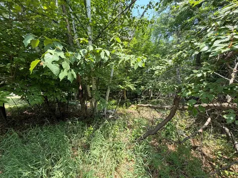 Tbd Breezy Point Boulevard Breezy Point MN 56472
