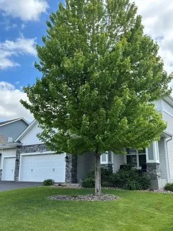 14290 Aldborough Avenue Rosemount MN 55068