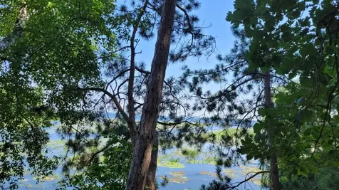 36803 Pine Knolls Circle Pine River MN 56474