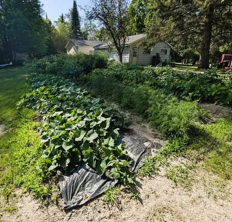 20065 Buckhorn Road NE Hines MN 56647