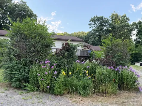 24251 315th Avenue Long Prairie MN 56347