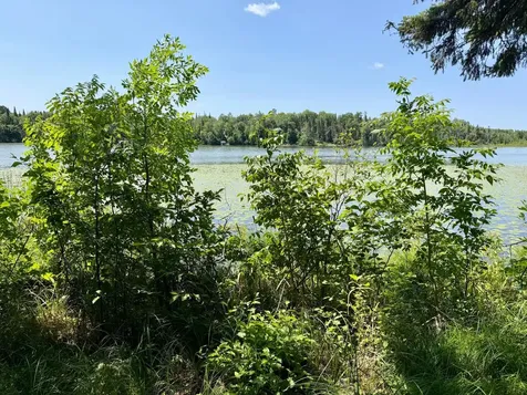 11187 Far Portage Drive Park Rapids MN 56470