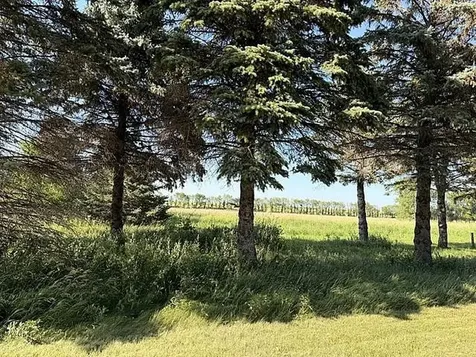 1790 Maple Park Circle Windom MN 56101