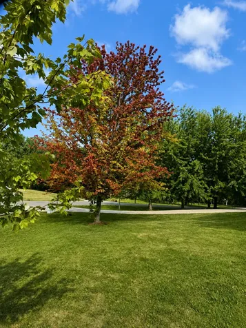 2208 Darling Avenue E Alexandria MN 56308