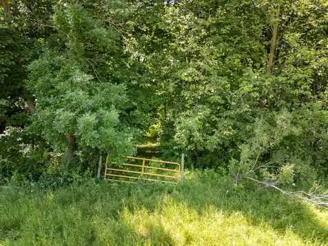 Tbd Xxx County Road 3 Eagle Bend MN 56446