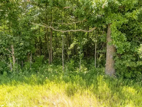Tbd Xxx County Road 3 Eagle Bend MN 56446