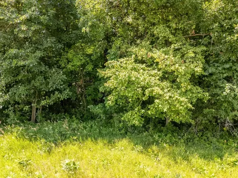 Tbd Xxx County Road 3 Eagle Bend MN 56446