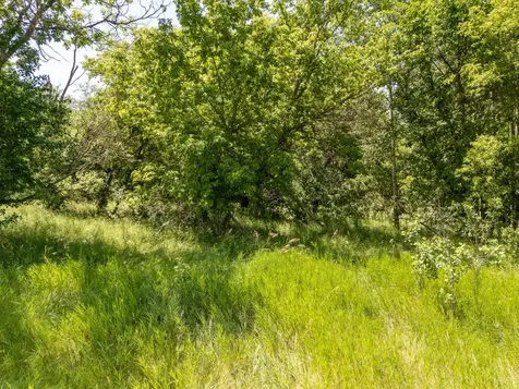 Tbd Xxx County Road 3 Eagle Bend MN 56446