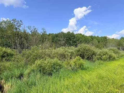 Tbd Butterfield Road Hibbing MN 55746