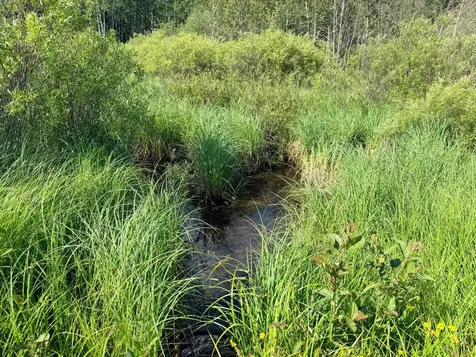Tbd Butterfield Road Hibbing MN 55746