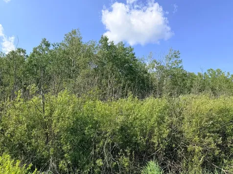 12XXX Butterfield Road Hibbing MN 55746