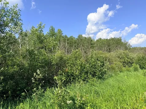 12XXX Butterfield Road Hibbing MN 55746