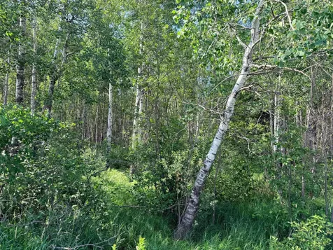 12XXX Butterfield Road Hibbing MN 55746