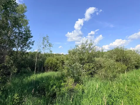 12XXX Butterfield Road Hibbing MN 55746