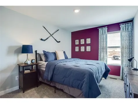 8801 Jules Avenue S Cottage Grove MN 55016
