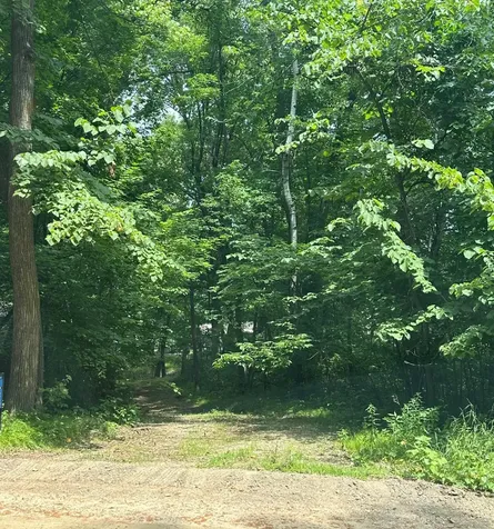 2031 Fairview Beach Road NE Alexandria MN 56308