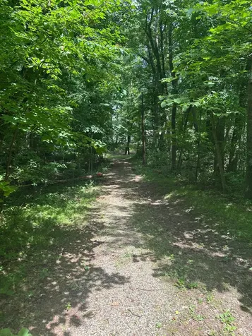 2031 Fairview Beach Road NE Alexandria MN 56308