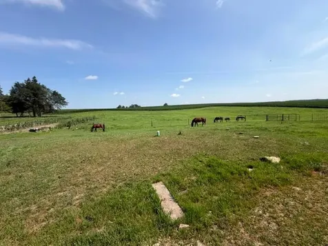 12570 County 23 Canton MN 55922