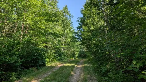 Tbd Highway 24 Orr MN 55771