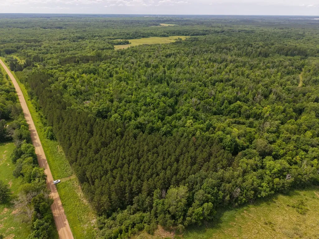 80 Acres Pike Bay Loop Road NW Cass Lake MN 56633
