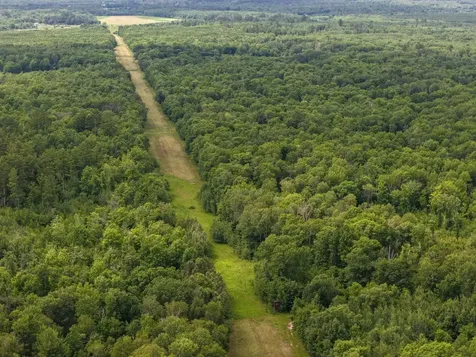 80 Acres Pike Bay Loop Road NW Cass Lake MN 56633