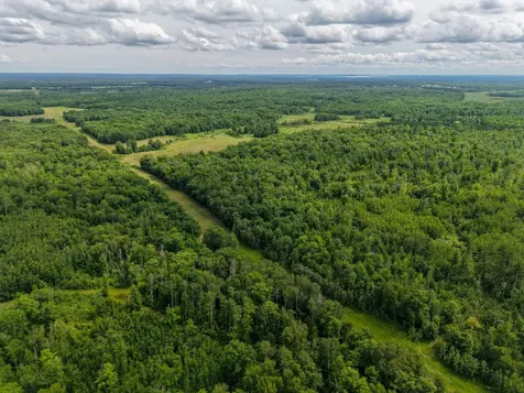 80 Acres Pike Bay Loop Road NW Cass Lake MN 56633
