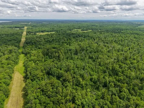 80 Acres Pike Bay Loop Road NW Cass Lake MN 56633
