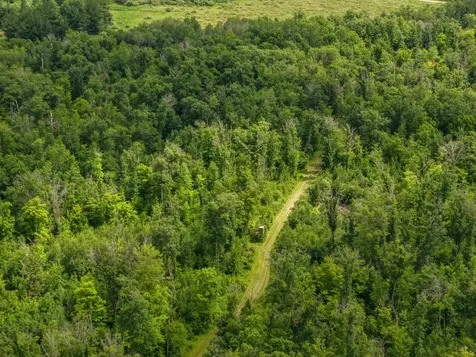 80 Acres Pike Bay Loop Road NW Cass Lake MN 56633