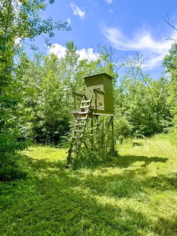80 Acres Pike Bay Loop Road NW Cass Lake MN 56633