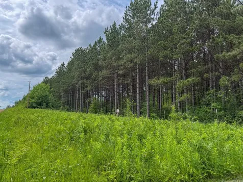 80 Acres Pike Bay Loop Road NW Cass Lake MN 56633