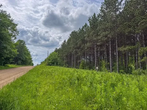 80 Acres Pike Bay Loop Road NW Cass Lake MN 56633