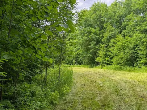 80 Acres Pike Bay Loop Road NW Cass Lake MN 56633