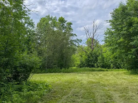 80 Acres Pike Bay Loop Road NW Cass Lake MN 56633