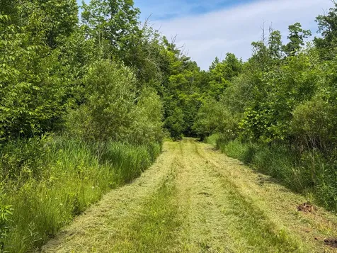 80 Acres Pike Bay Loop Road NW Cass Lake MN 56633