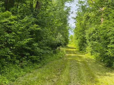 80 Acres Pike Bay Loop Road NW Cass Lake MN 56633