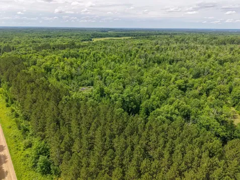 80 Acres Pike Bay Loop Road NW Cass Lake MN 56633