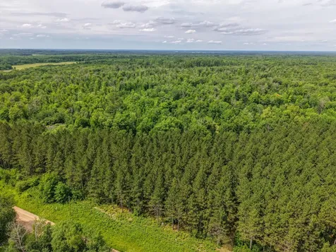 80 Acres Pike Bay Loop Road NW Cass Lake MN 56633