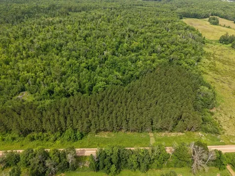 80 Acres Pike Bay Loop Road NW Cass Lake MN 56633