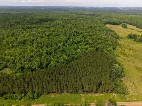 80 Acres Pike Bay Loop Road NW Cass Lake MN 56633