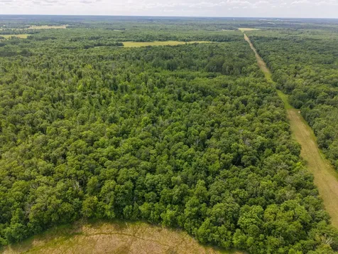 80 Acres Pike Bay Loop Road NW Cass Lake MN 56633
