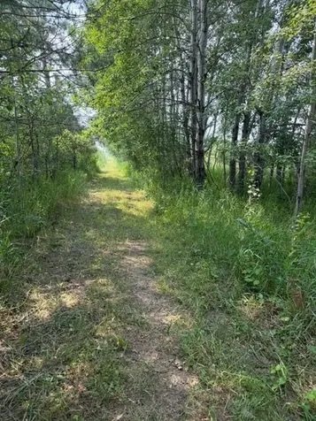 Xxx County Road 26 Verndale MN 56481