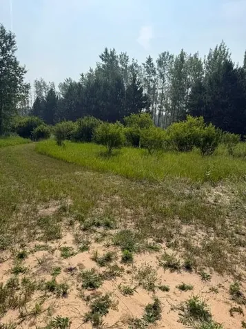 Xxx County Road 26 Verndale MN 56481